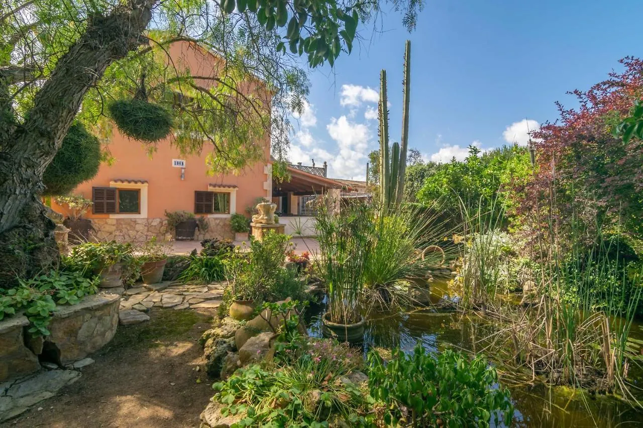 Pili Villa Felanitx
